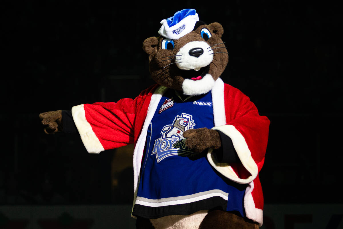Join mascot Marty the Marmot at the Royals holiday theme nights Dec. 16 and 17. (credit: Jay Wallace/Victoria Royals)