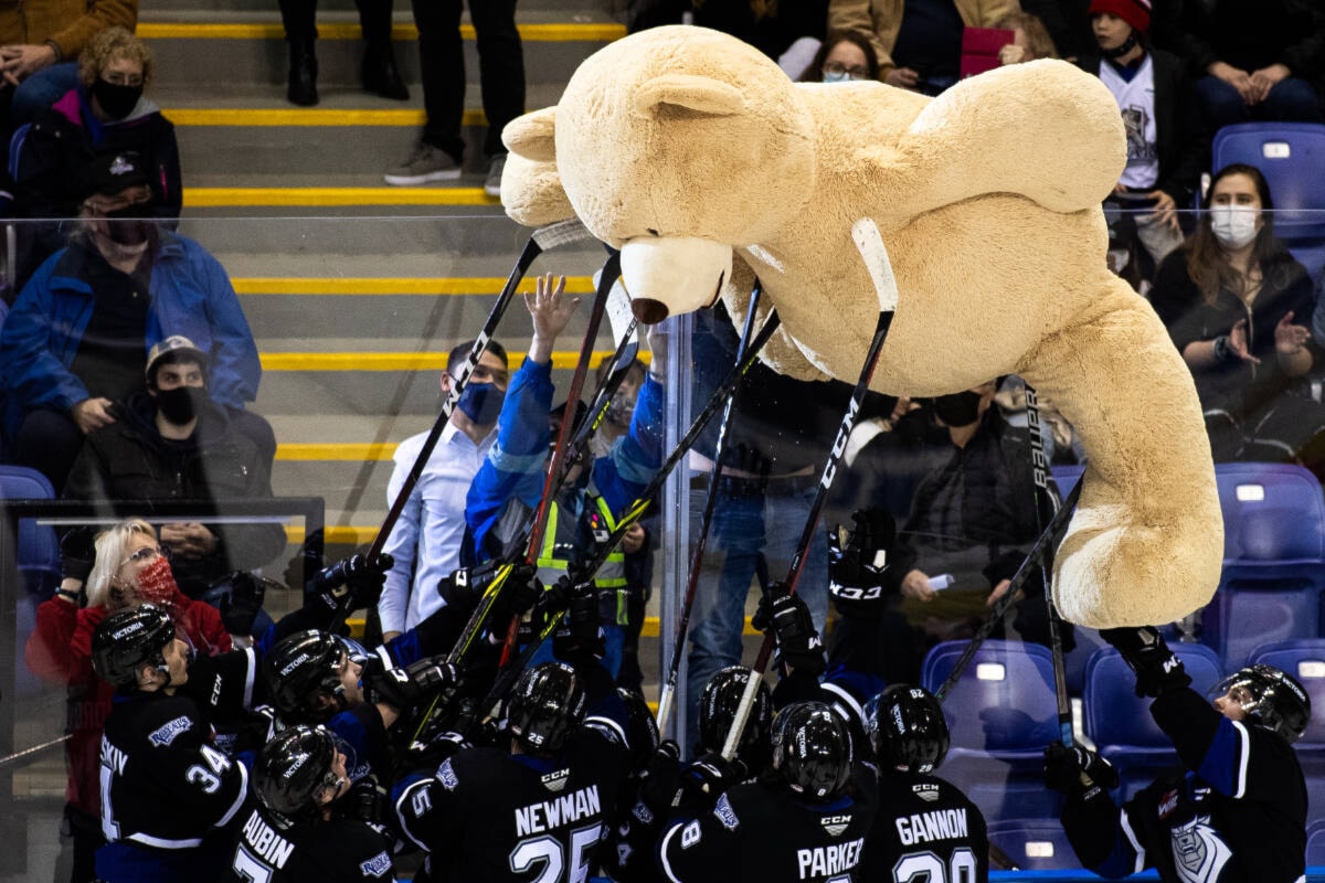 Teddy bear toss shop victoria royals 2018