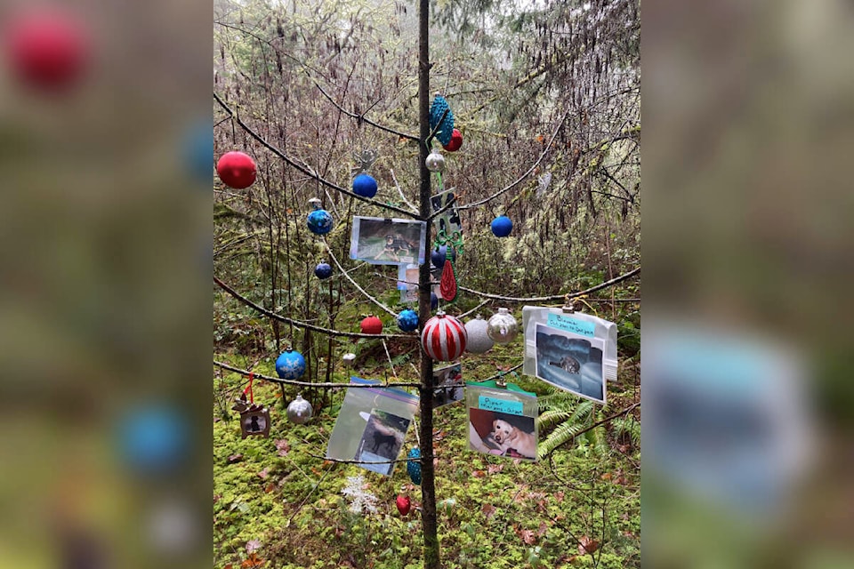 31234848_web1_221206-GNG-Colwood-Pet-MemorialTree-subpic_1