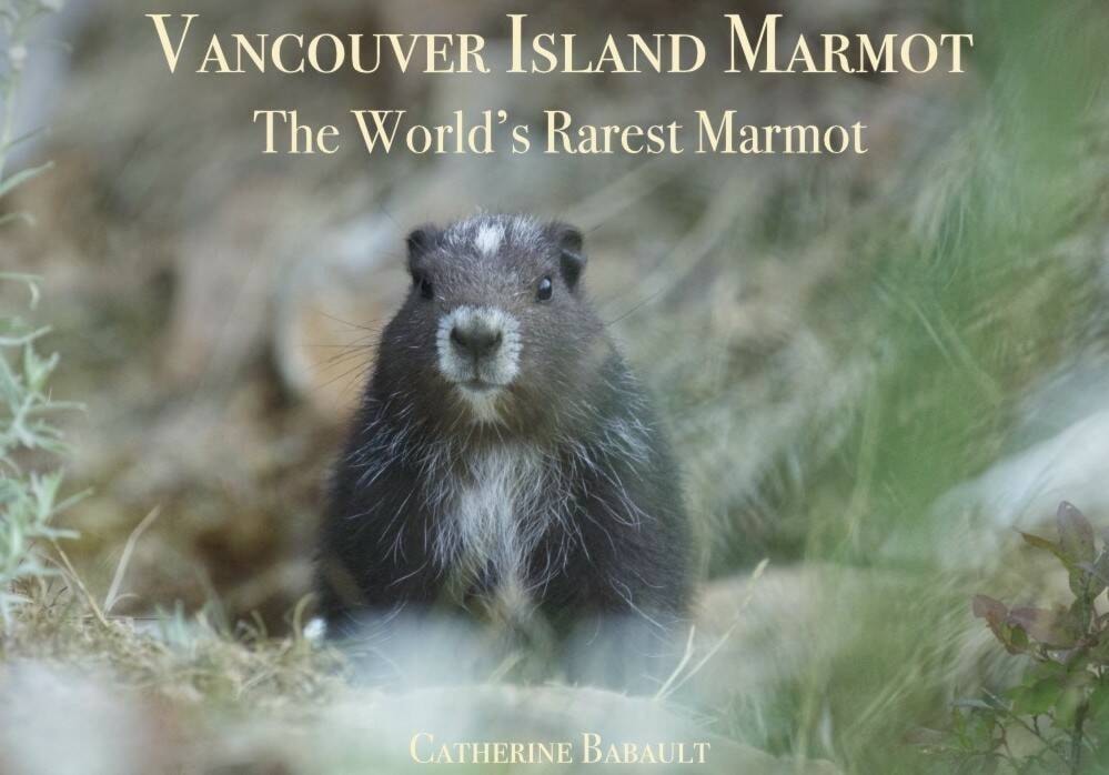 Marmot marley hotsell