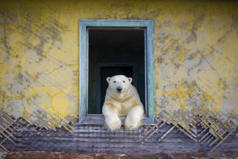 31427253_web1_221229-WCT-WildlifePhotographerOfTheYear_1