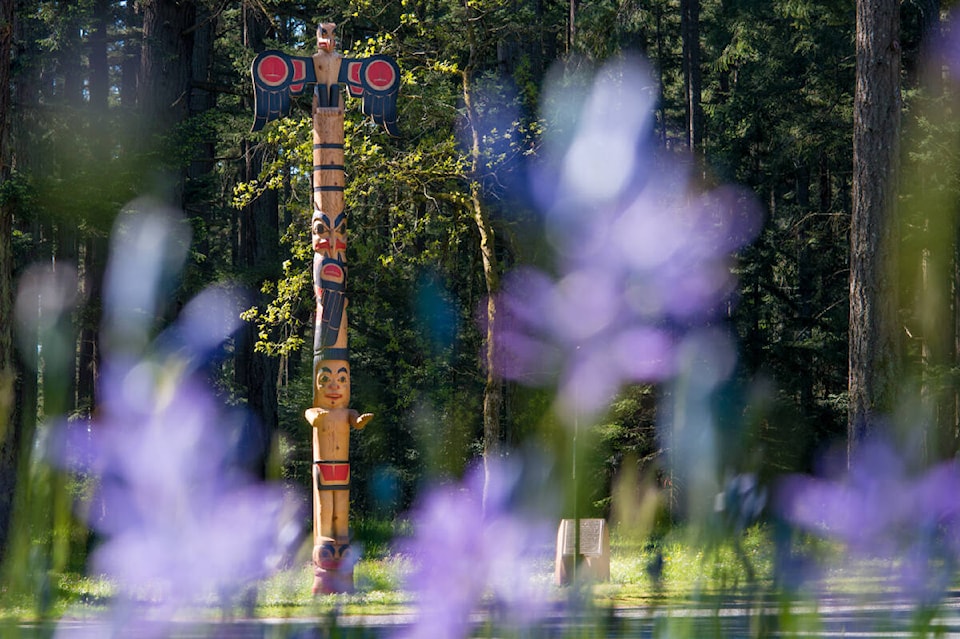 31491105_web1_230105-GNG-RCMP-RRU-grafitti-totem-pole-royal-roads_1