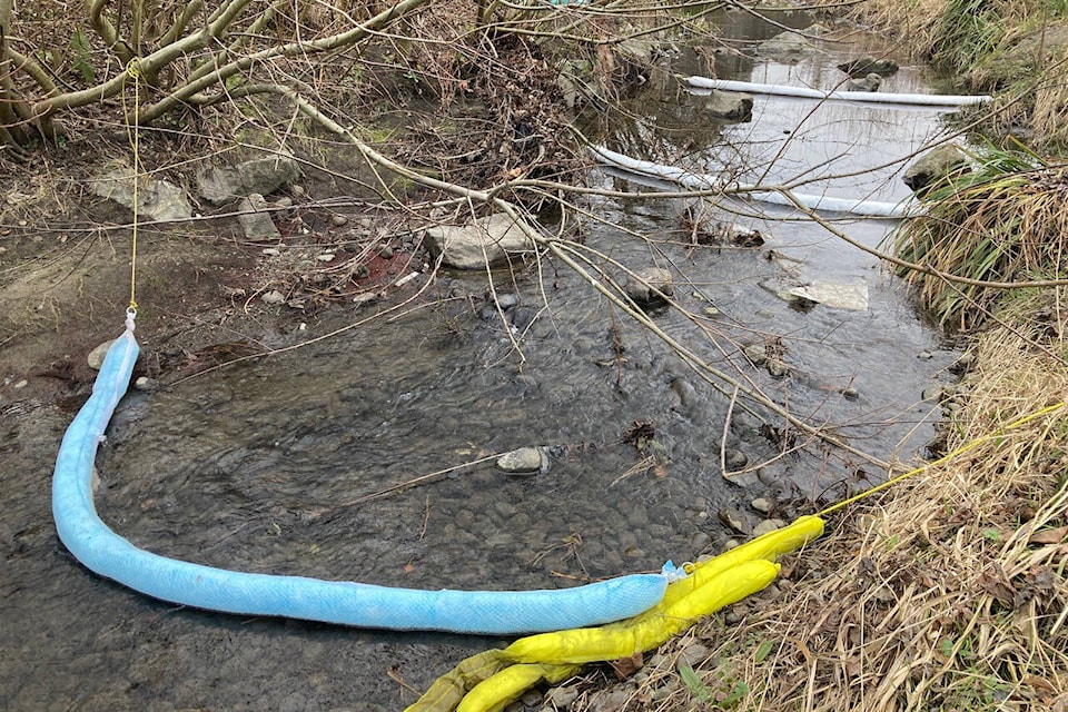 Oak Bay staff placed absorbent booms in Bowker Creek last week to gather oil spilled into the waterway from nearby Victoria. (Photo by Eldan Goldenberg)