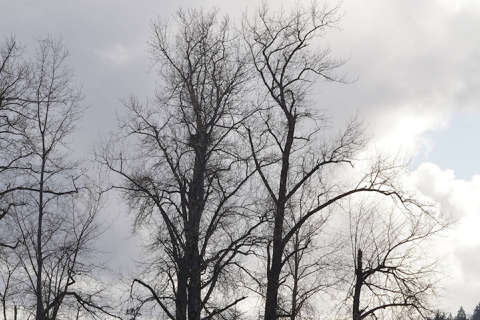 31830840_web1_230110-PNR-EAGLES-NEST-EAGLESNEST_1