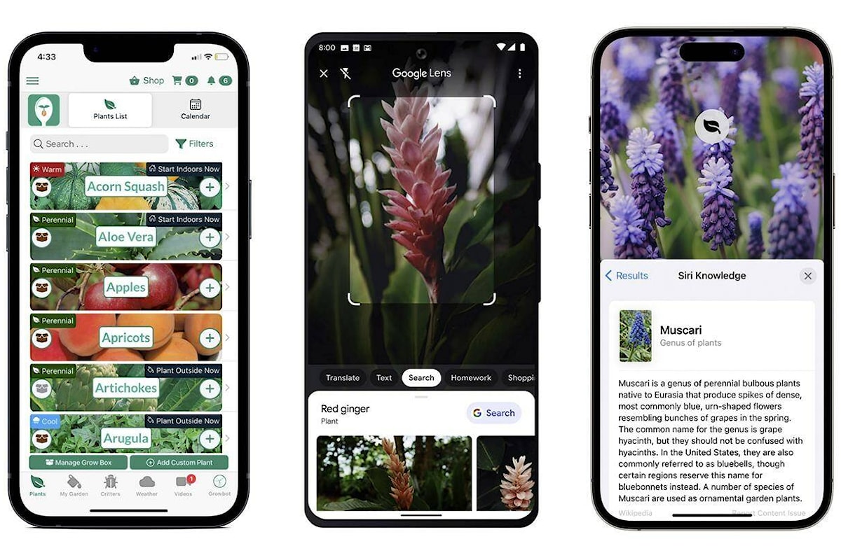 Gardening help in the palm of your hand: 5 apps, phone tips