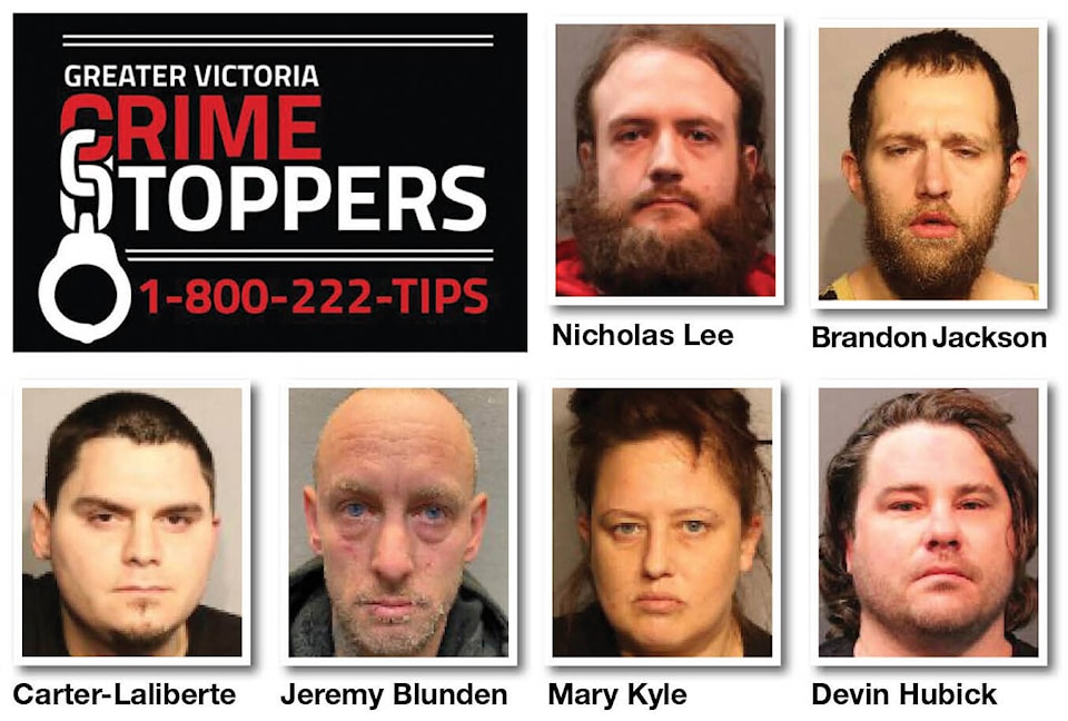 32338393_web1_230405-vne-crime-stoppers-mugshots_1