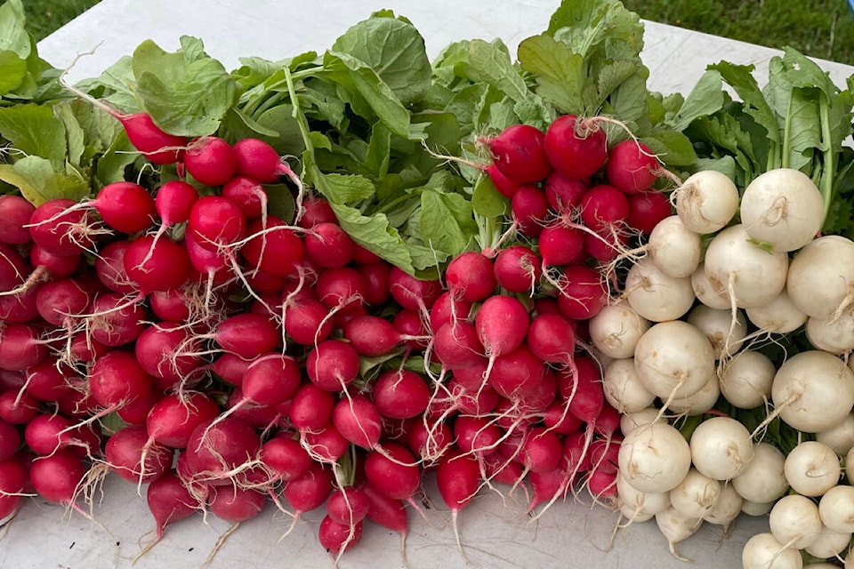 Produce from local farmers. (Hollie Ferguson/News Staff)