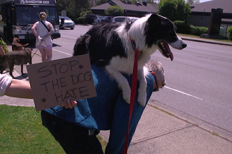 Saanich dog owners protested the PPP strategy with their pooches on June 22 before the strategy was passed on June 28. (Ella Matte/News Staff)
