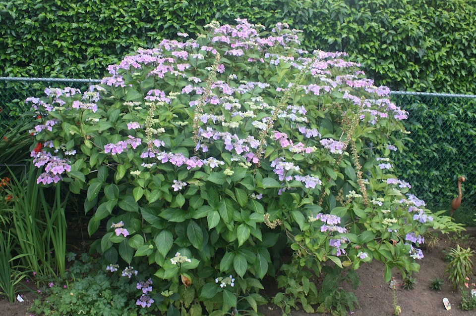 32989559_web1_230609-SNE-Gordon-Head-Garden-Club_1