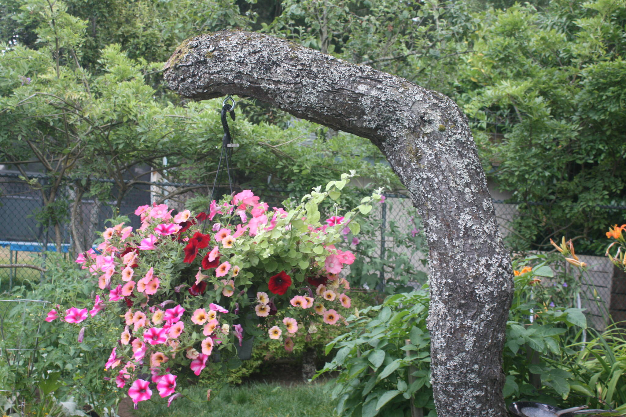 32989559_web1_230609-SNE-Gordon-Head-Garden-Club_2