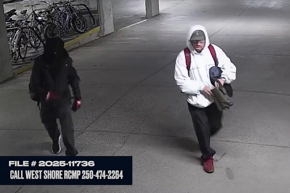 langfordpackagethieves