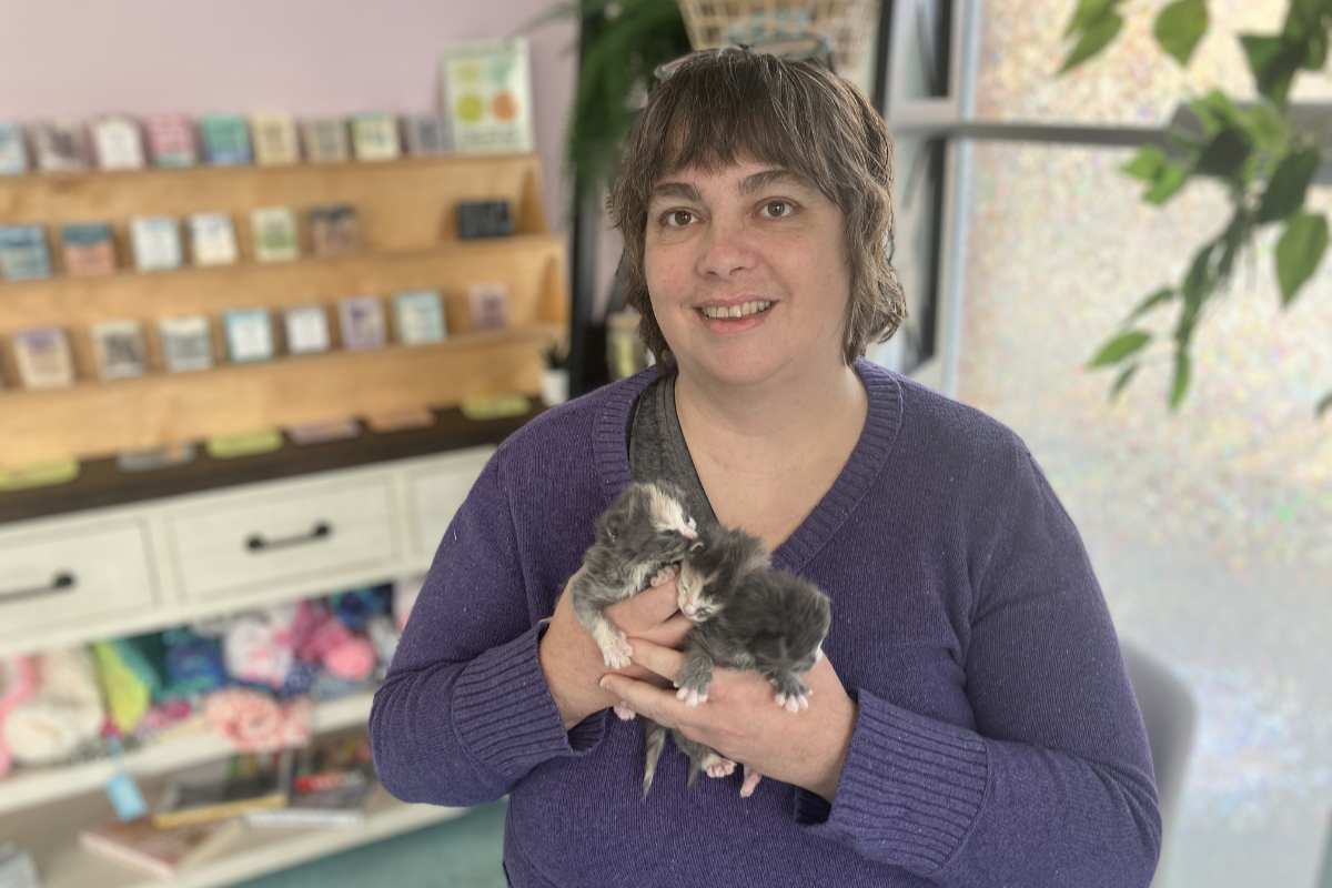 VIDEO: Itty Bitty Kitty crew launches low-cost Island vet care