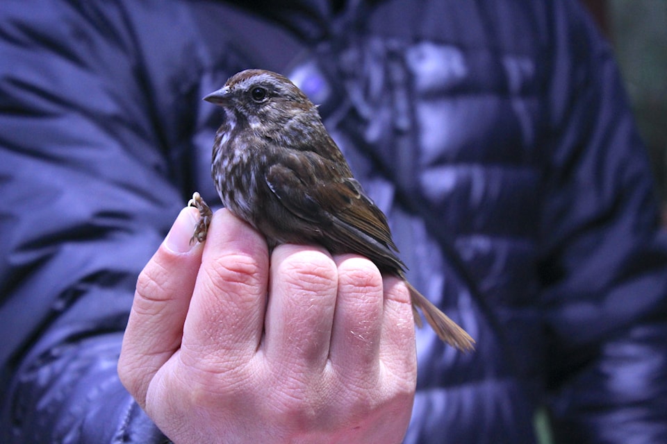 photographers-bird-hand