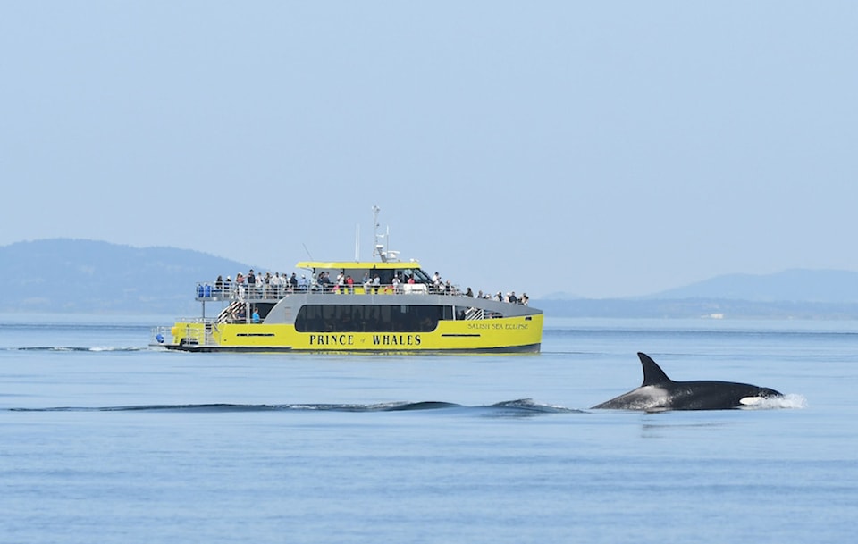 prince-of-whales-catamaran