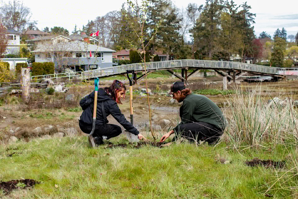 Volunteers planted trees and cleared invasive plants at Esquimalt Gorge Park on April 10.