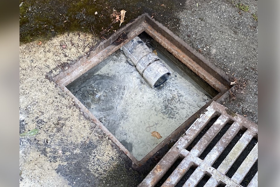 A photo from a July 15 Reddit post of a stormwater drain where a Burnside-Gorge business is allegedly dumping wastewater.