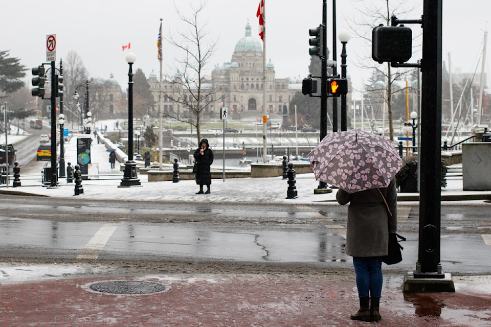Victorians were still out and about despite the snow on Feb. 3.