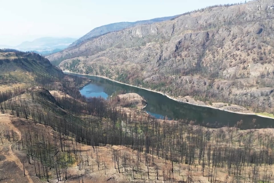 An aerial photo from 2024 of the damage caused by the McDougall Creek wildfire.