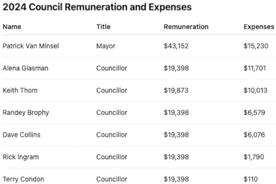 council-salary