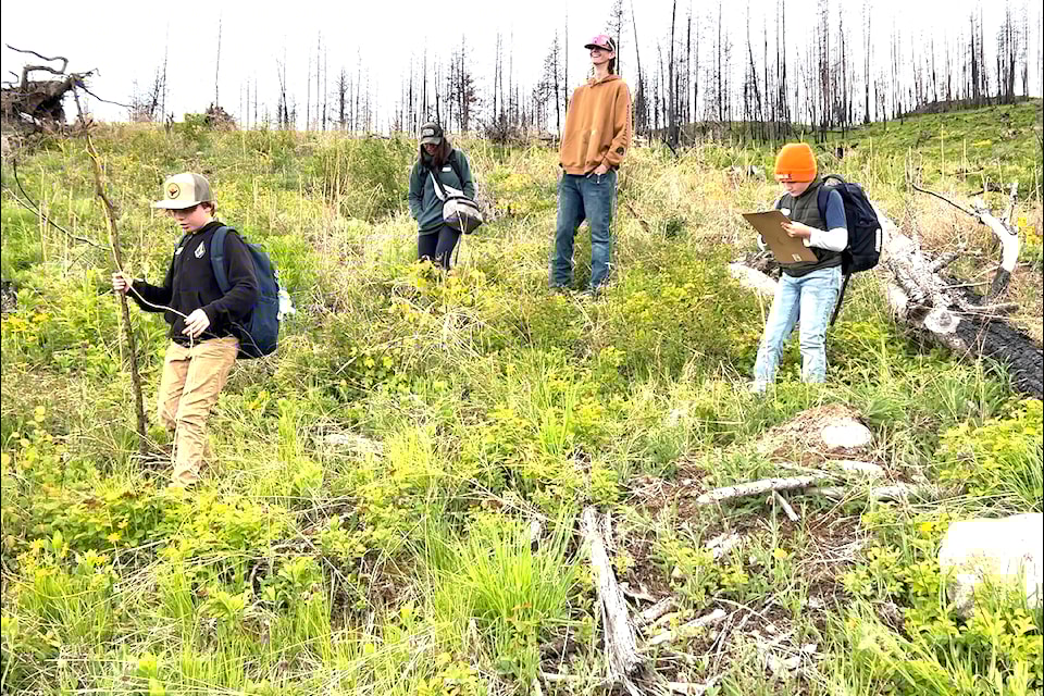 Grade 3/4 students from Ecole Glenmore Elementary checked the one-year progress of the trees they planted in the Blue Grouse Mountain on Tuesday, May 20.