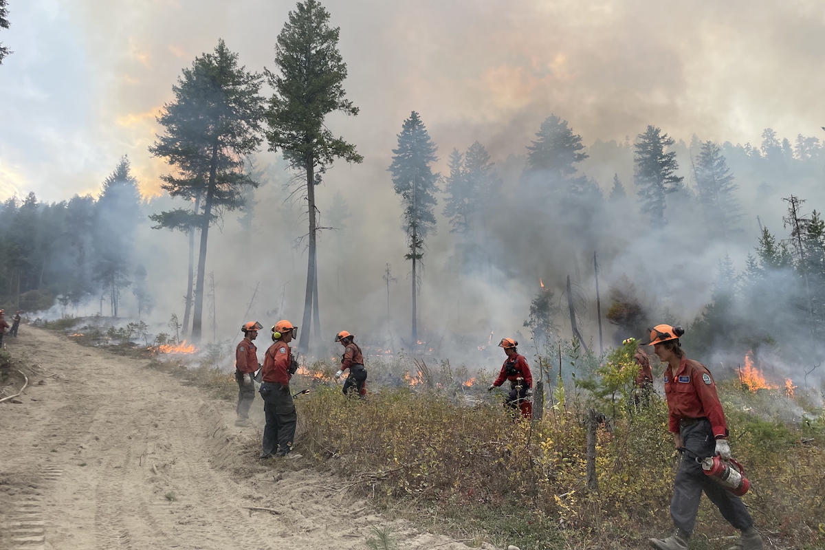 Evacuation orders, alerts remain as Okanagan wildfire 381 hectares in size
