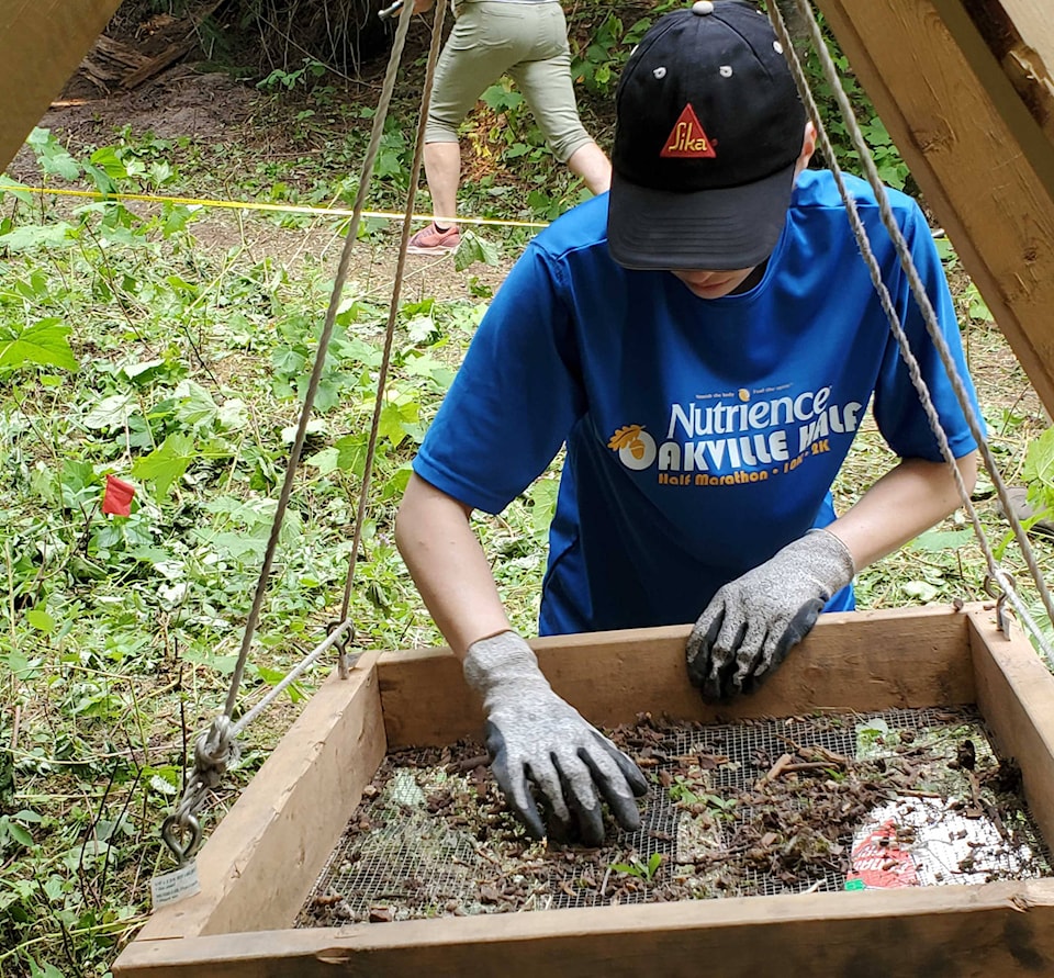 26349240_web1_210909-VMS-cherryville-camp-dig-ARCHAEOLOGY_2