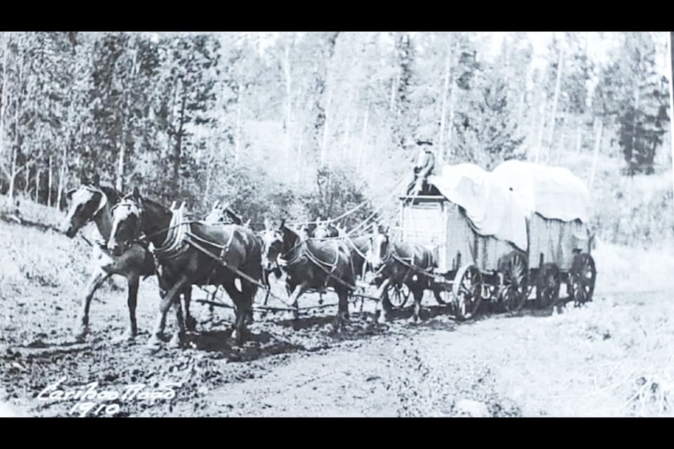 BX freight wagon on the Cariboo Wagon Road 1910. 