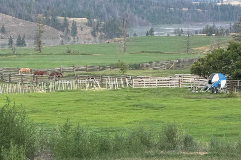 A view of Ilnicki Ranch as seen Sunday morning, Aug. 4 showing the water above the Chilcotin River landslide still holdling. 