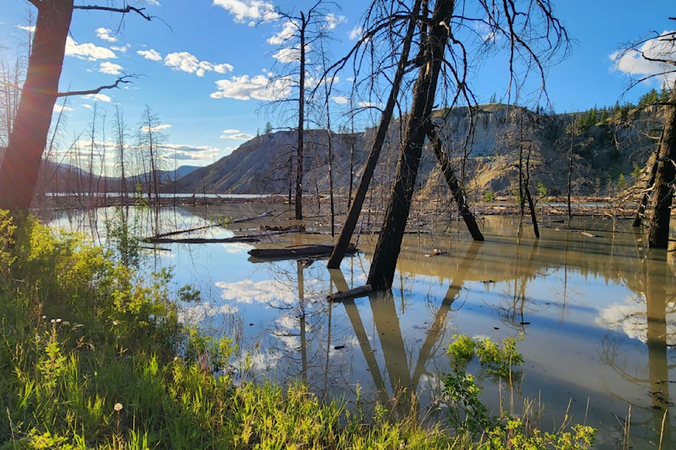 The Chilcotin River has come to a standstill west of a landslide at Riske Creek as seen here Wednesday evening July 31, 2024. 