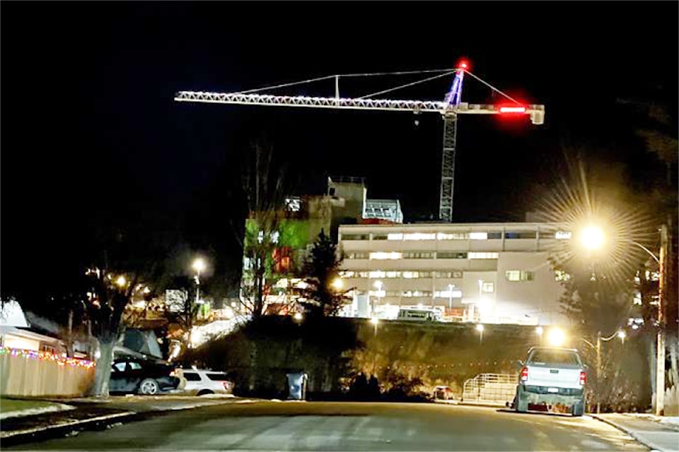 a-crane-christmas