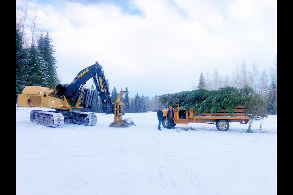 Dave Lauton and Bear Robertson with Guy Walt's buncher and Big Bird, a 1969 GMC, used to procure and haul this year's community Christmas tree for the town of Horsefly.