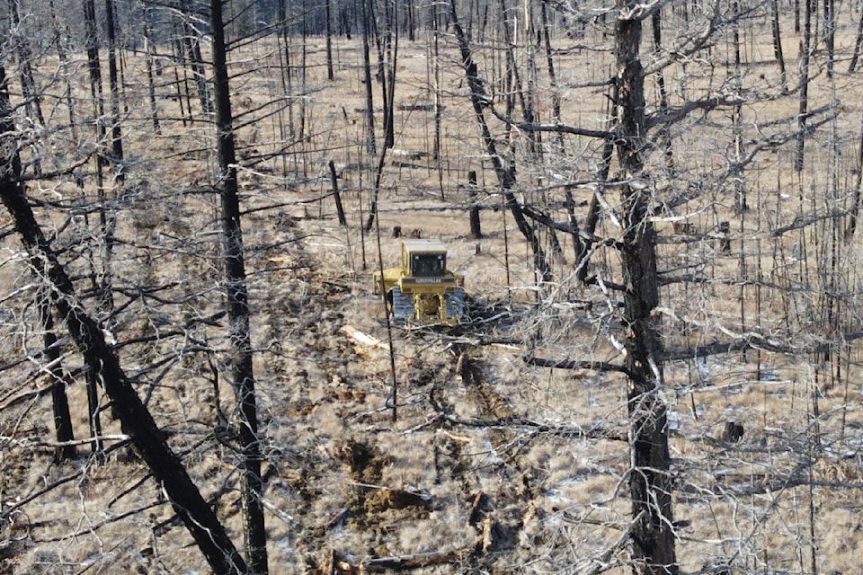 A bulldozer operator does ground-ripping to better prepare the site for tree planting in burned out areas of the Chilcotin. 