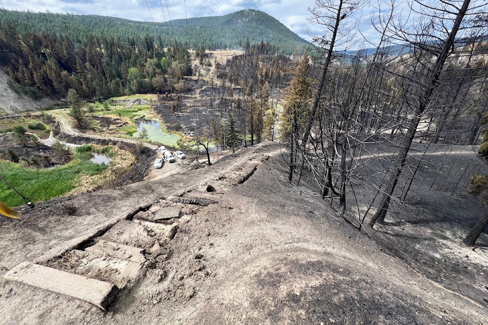 Some infrastructure has been damaged and danger trees will need to be assessed after the fire in the Williams Lake River Valley.