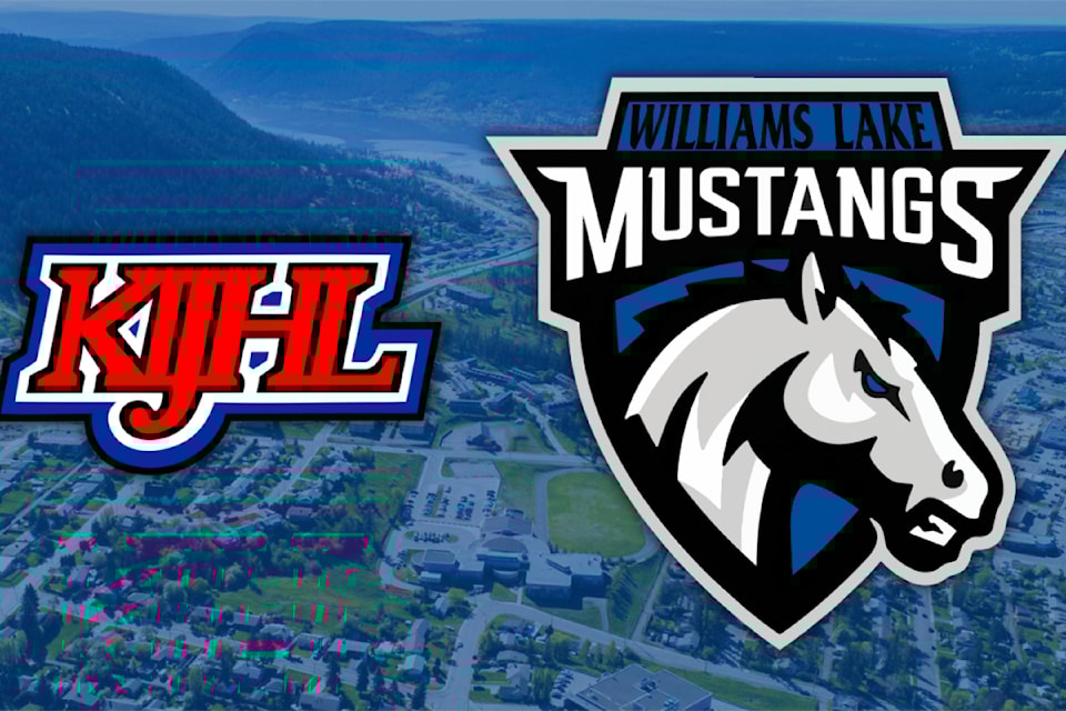 mustangs