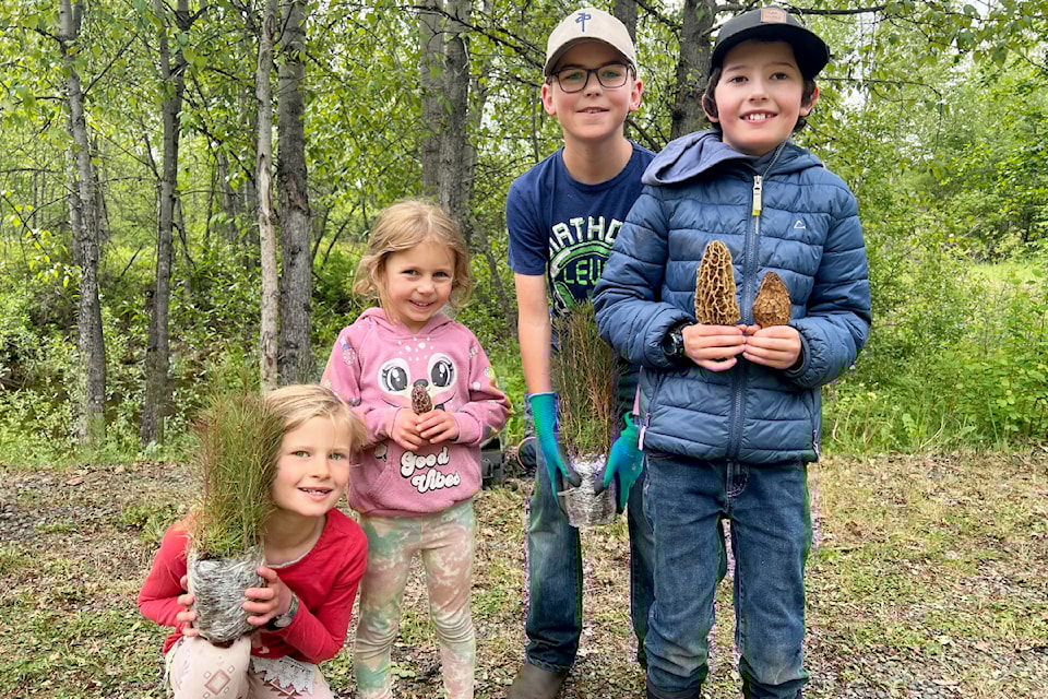 Kaylie Harty, Juna Murphy, Zach Harty and Tayden Murphy were having fun at the Horsefly River Roundtable Salmon Egg Float event, finding morel mushrooms and taking home larch seedlings to plant.
