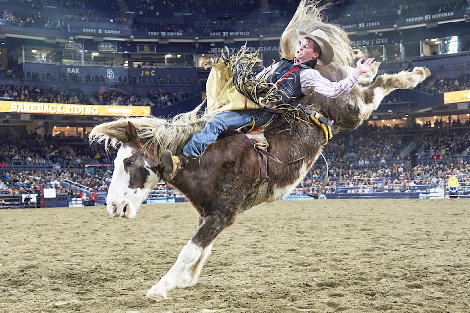A C-5 Rodeo bucking horse gives a cowboy a great ride at a rodeo event.