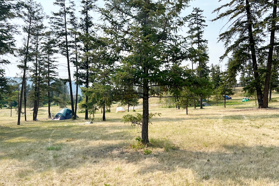 Tents in Boitanio Park in the summer of 2024.