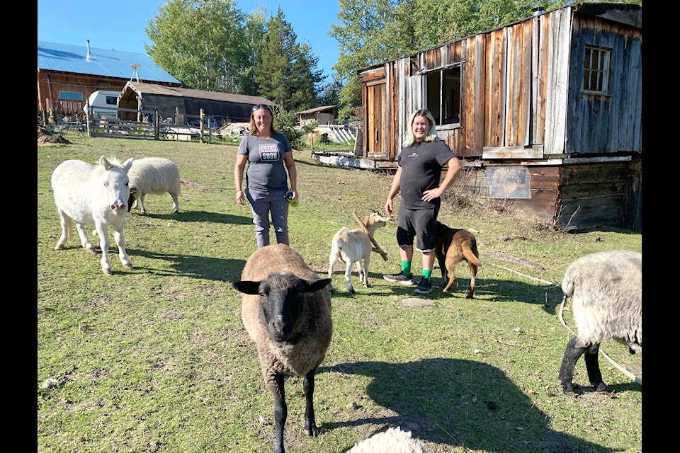 Misty Schulz and Anthony Perrault opened the Rising Star Rescue Society in April 2024 where they help animals of all shapes and sizes. 