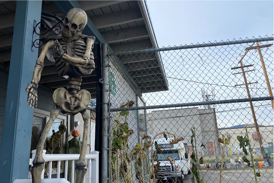 amskeleton