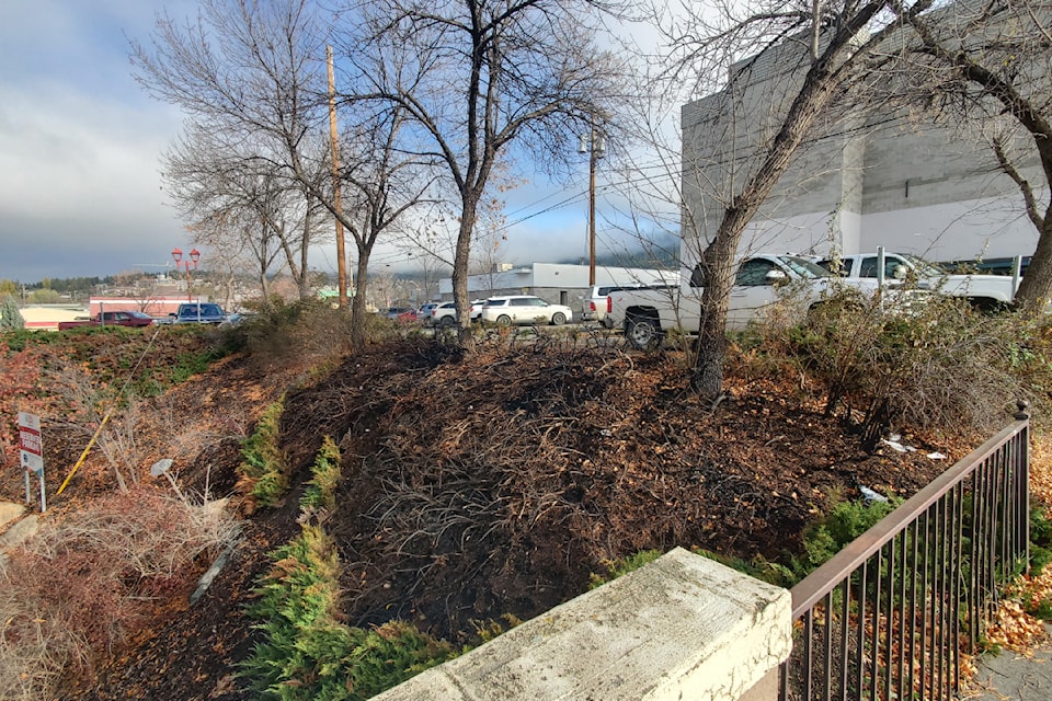 mlybrushfire