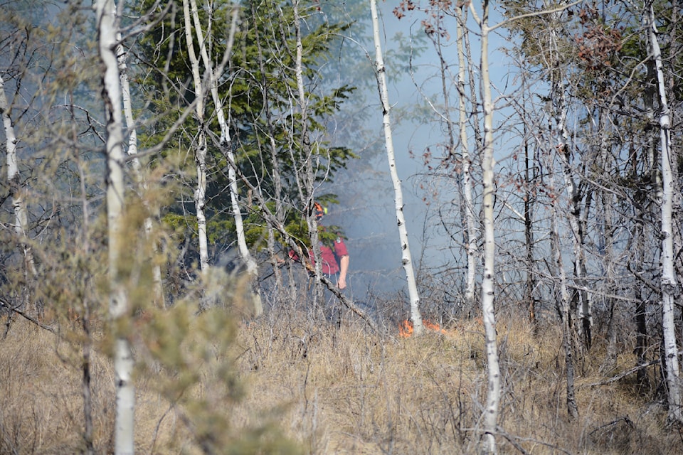 mlyburning