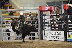 GALLERY: Williams Lake Indoor Classic Spring Rodeo Day 2