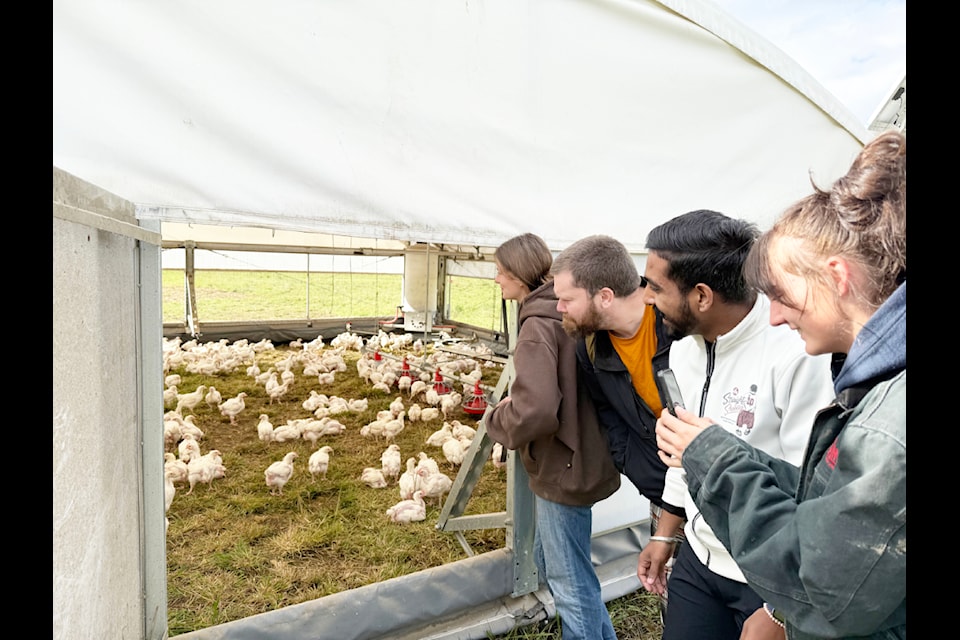 Students taking TRU's food sovereignty micro-credential will have the opportunity to learn and evaluate existing enterprises such as this pasture poultry enterprise students in the Enterprise Diversification class have previously visited. 