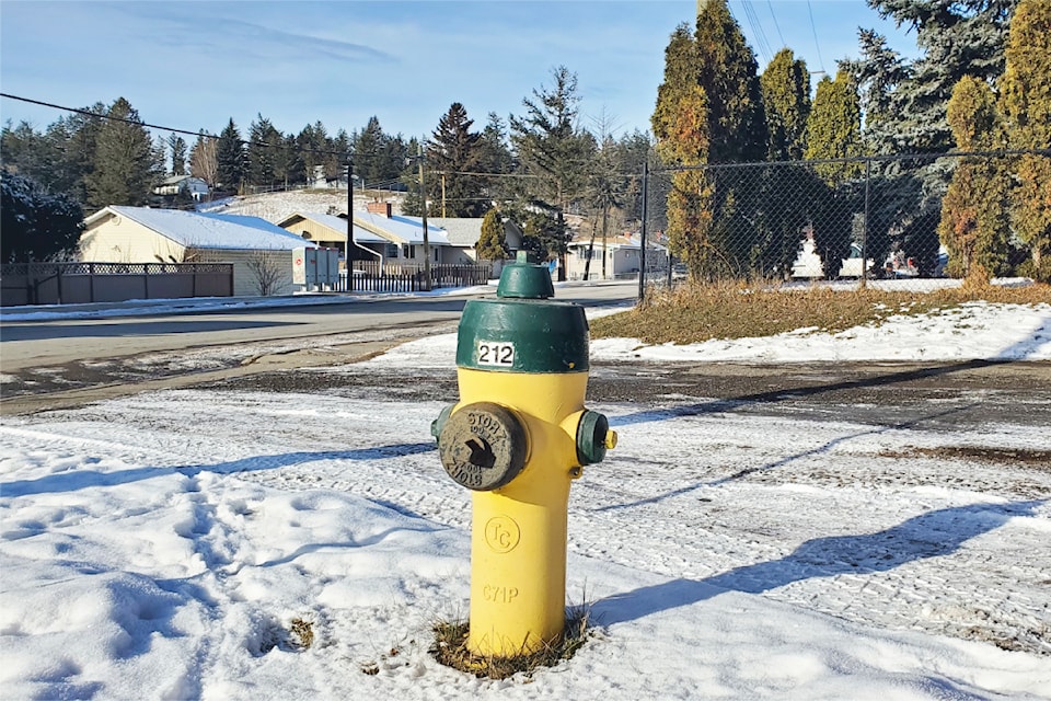 A fire hydrant on Western Avenue in Williams Lake.
