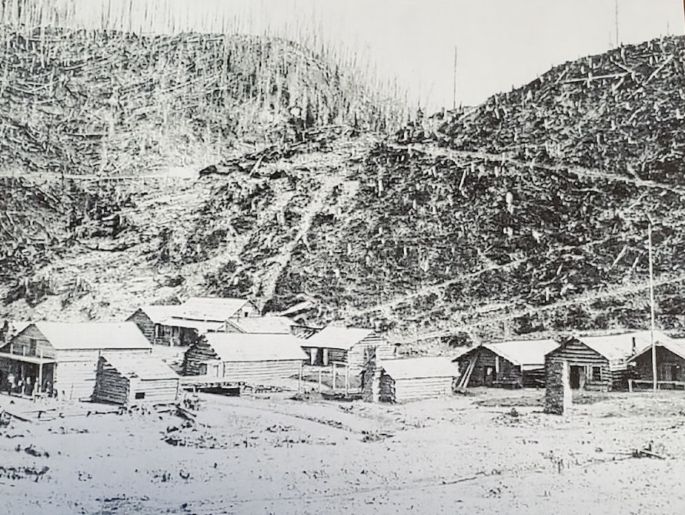 vanwinkle1868