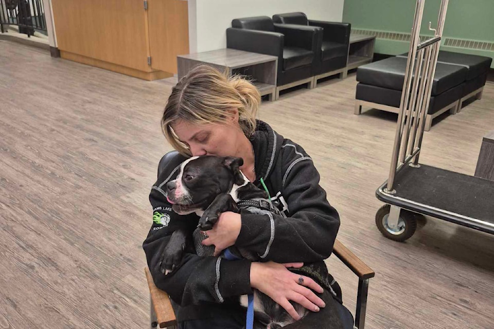 Christine Fernadez and her dog Pedro survived a crash in November 2024 along the Horsefly Road east of Williams Lake. 