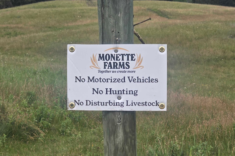 mmsignage