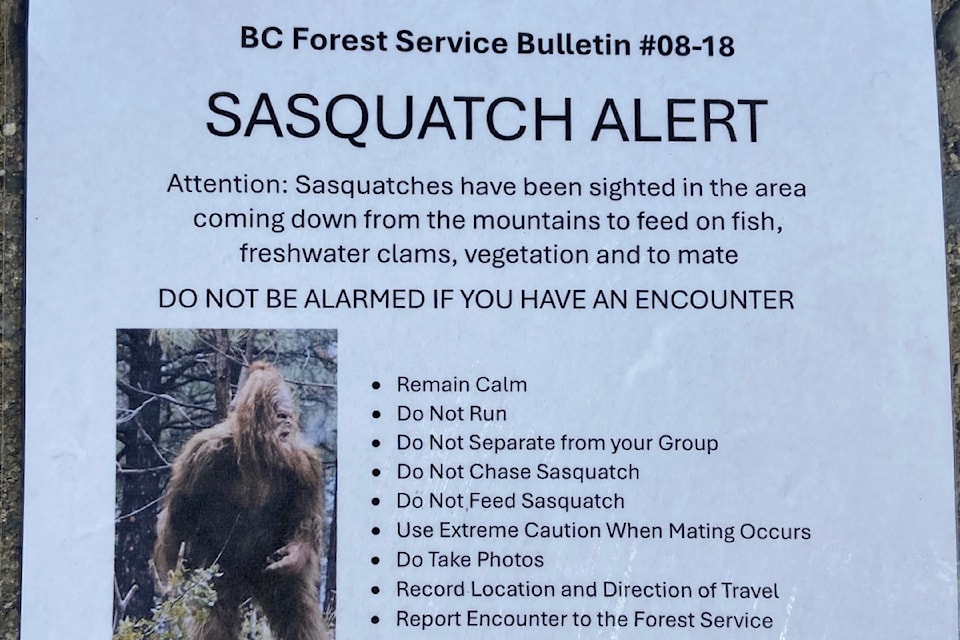 A flyer found on vehicles last week gives some citizens something to laugh at.