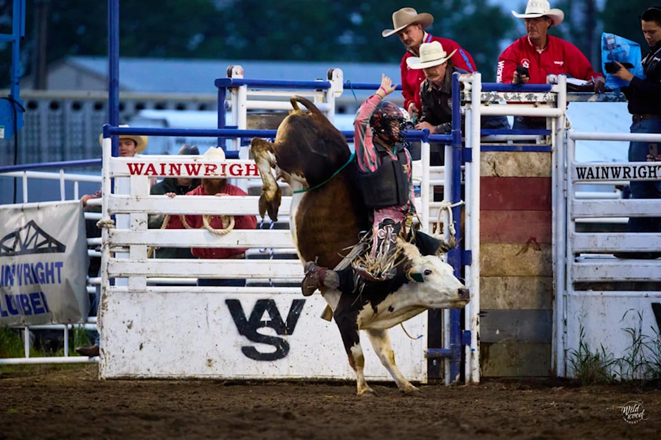 Junior steer rider Tanner Loring of Riske Creek competes at the Wainwright Stampede earning 80 points.
