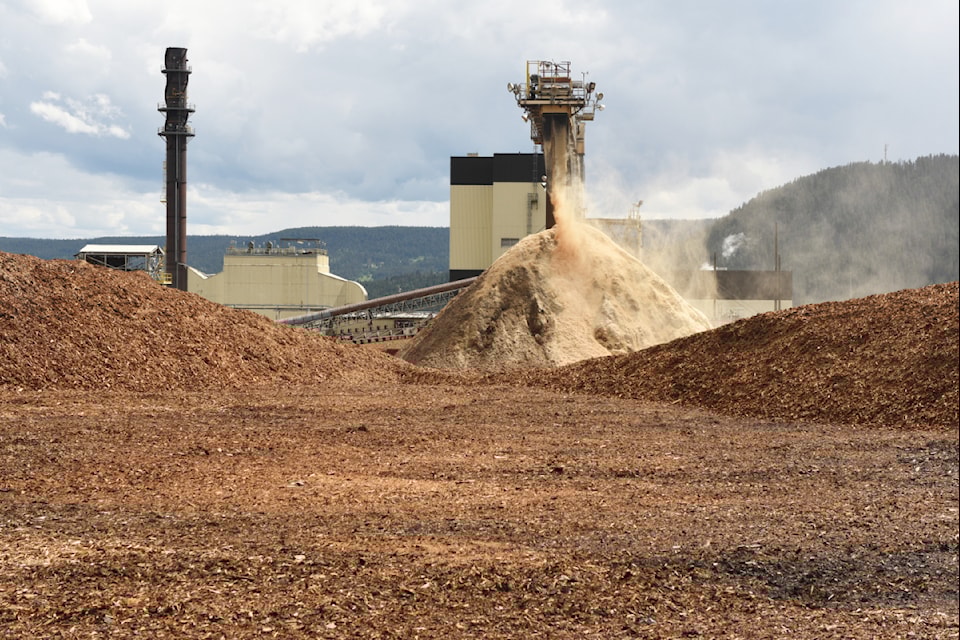 Atlantic Power's Williams Lake biomass power plant burns wood waste to generate electricity.